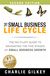 The Small Business Life Cycle